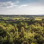 Private With Wellness Area On Collio Hills *