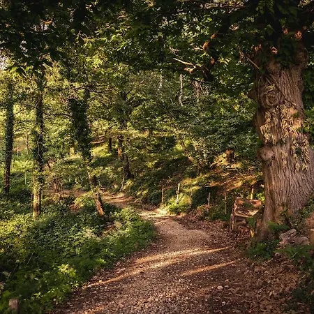 Private With Wellness Area On Collio Hills Villa Cividale del Friuli