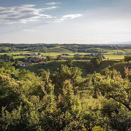 Private With Wellness Area On Collio Hills *