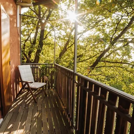 Villa Private With Wellness Area On Collio Hills *
